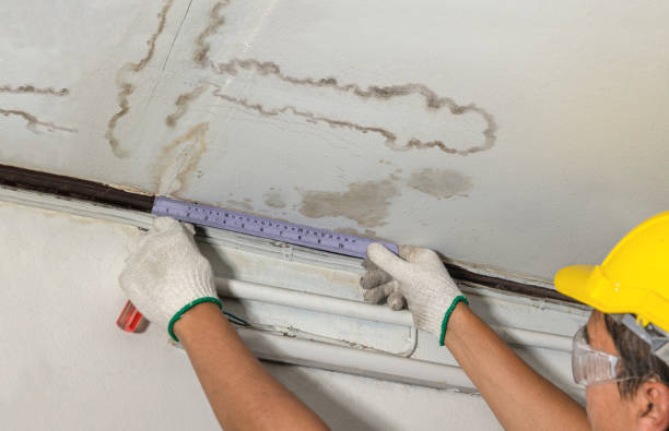 Reliable Mold Remediation contractor in Winthrop, MN by Water Damage Irwin